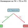 t3.png